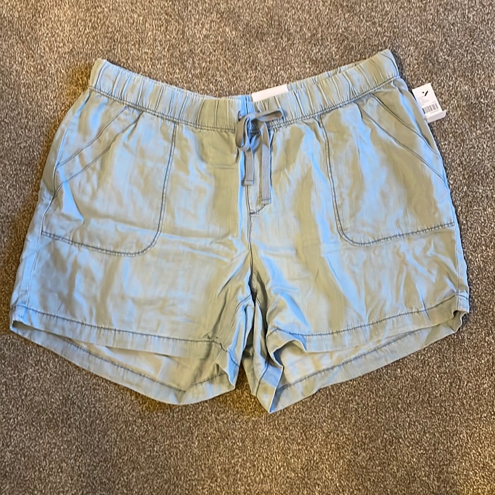Lane Bryant Shorts